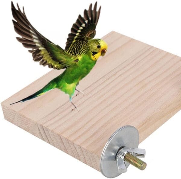 Esforzarse Plataforma para pájaros, 2 piezas, plataforma de madera para pájaros, accesorios para jaulas para loros, para loros, hámsters, jerbos, animales pequeños, (rectangular, 15 x 8 cm) - Image 3