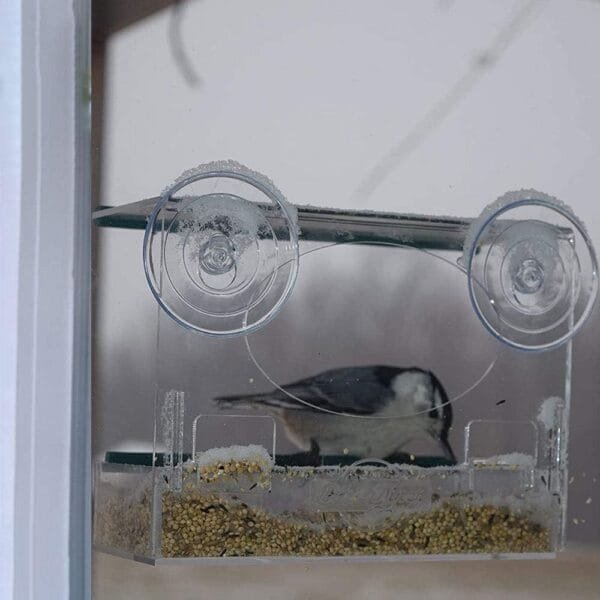 Dispensador de comida para pájaros con ventosa, base de ventosa transparente transparente - Image 8