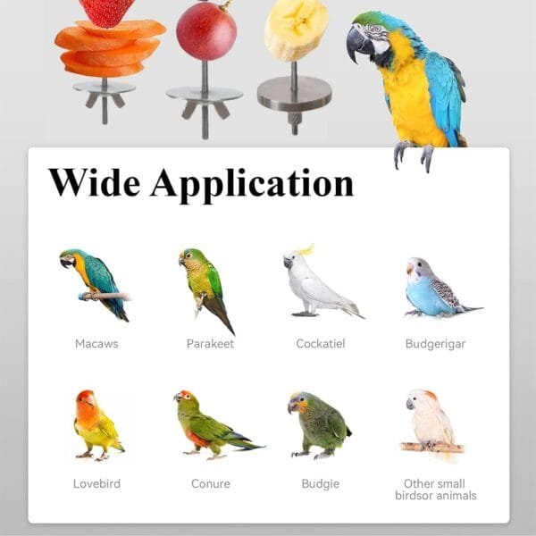 KSJEHW 3 Piezas de brochetas para pájaros, Accesorios para Loros, Soporte para palitos de Frutas para Loros, Accesorios para jaulas de pájaros, Herramienta para Frutas y Verduras para Loros - Image 6