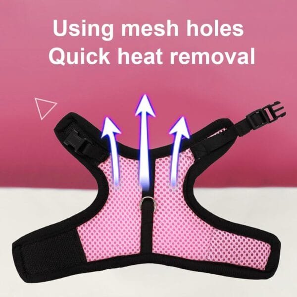 LuLiyLdJ Arnés de Conejo Enano Rosa, Correas de Conejo, Accesorios de Conejo, cómodo arnés de Conejo con Correa elástica para hámsters Rata Erizo ratón pequeños Animales (M) - Image 4