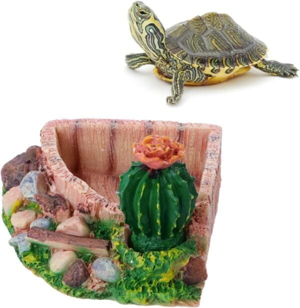 Yardwe 3 Piezas tazón de Comida Plato de Agua de Reptil Tanque de Reptiles Plato de Comida de Tortuga Juguete Pet Feeder Comedero para Reptiles Suministros para Mascotas tazón de Reptil - Image 2
