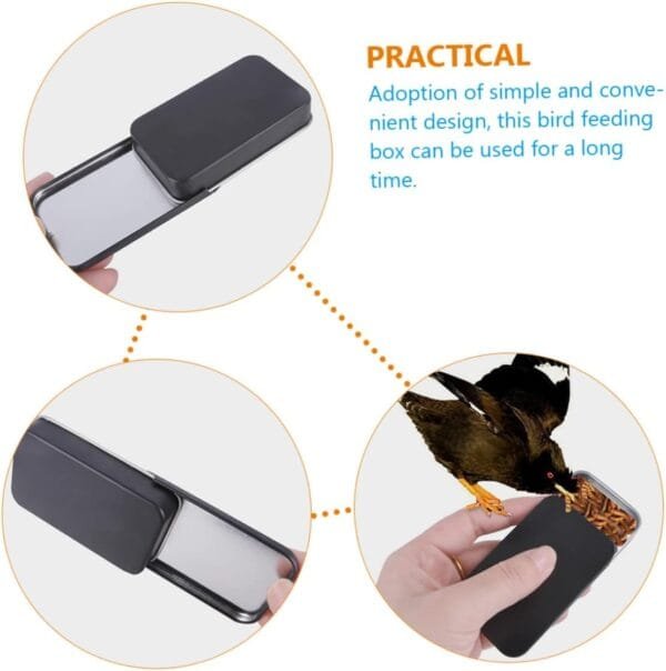 BESPORTBLE Caja De 2 Piezas Caja De Comida para Pájaros Contenedor De Comida para Pájaros Ventana Comedero para Pájaros Comedero para Pájaros Comedero para Pájaros Perchas para - Image 4