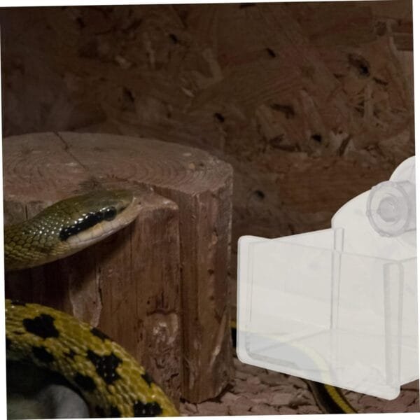 Yardwe 1 Juego Bebedor De Reptiles Comedero para Tortugas Juguete De Reptil Plato para Beber Reptiles Suministro De Reptiles Plato De Agua De Tortuga Suelo De Reptil Acrílico Transparent - Image 7