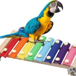 Xilófono Colorido para pájaros, Juguete de xilófono Divertido y Colgante con 8 Llaves de Metal, Accesorios de Juguete para Jaula de pájaros, pájaros, Loro, periquitos, periquitos, pájaros de Amor