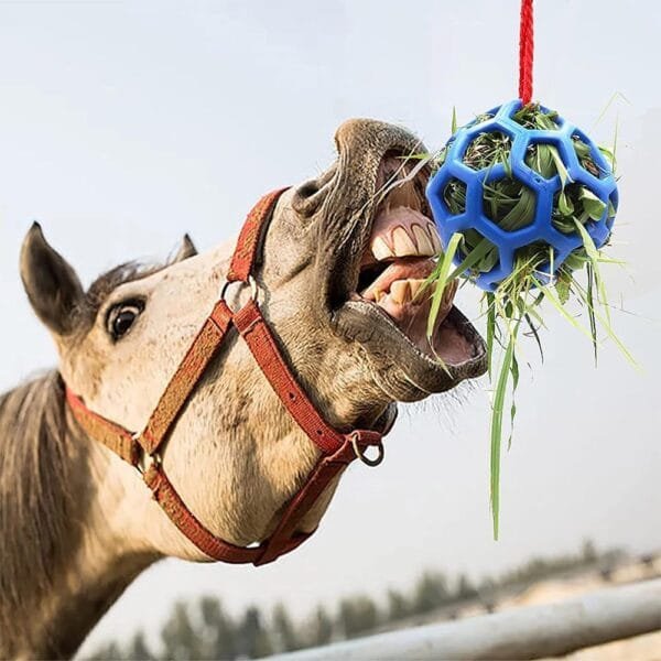 ieron Bola de comedero de heno colgante para conejo, juguete para animales pequeños, mascotas, cobayas y tortugas (azul) - Image 5