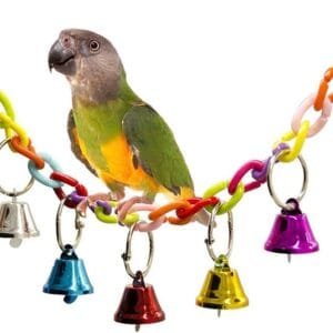Columpio de pájaros, juguete para pájaro, loro, columpio, jaulas de pájaros, accesorios colgantes con campanas