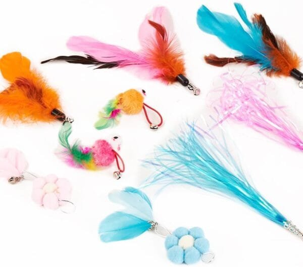 Easy Joy 11 Piezas Juguete de Plumas para Gatos Interactivo, 9 Cabezas de reemplazo de Juguetes + 2 cañas de Pescar retráctiles. - Image 4