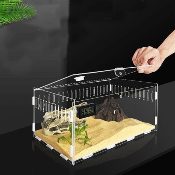 Topspitgo Terrario de Caracoles,Caja de Transparente Transporte de Acrílico,Terrario de para Arañas Gecko Hámster Serpientes Tortugas Reptiles Portátiles de Alimentación de Insectos(30x20x15cm) - Image 5