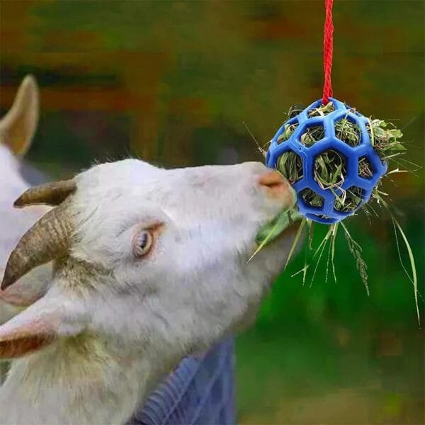 ieron Bola de comedero de heno colgante para conejo, juguete para animales pequeños, mascotas, cobayas y tortugas (azul) - Image 4