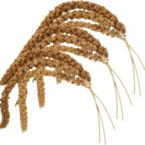 Yardwe 1 Juego Comida De Mijo Loro Comida Natural para Periquitos Comida para Loros Golosina para Masticar Loros Comida para Periquitos y Pájaros Golosinas para Pájaros Espigas De Grano