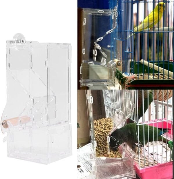 Fdit Comederos Automáticos para pájaros Alimentador de pájaros Acrílico Transparente Accesorios de Jaula de Loro - Image 6