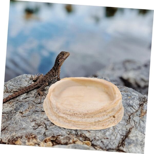 BESPORTBLE Comedero para Reptiles Plato De Comida De Tortuga Plato De Alimentación De Mascotas sobre Orugas Cuenco De Agua para Reptiles Plato De Gusano Reptil Plato De Agua De Tortuga Resina - Image 7