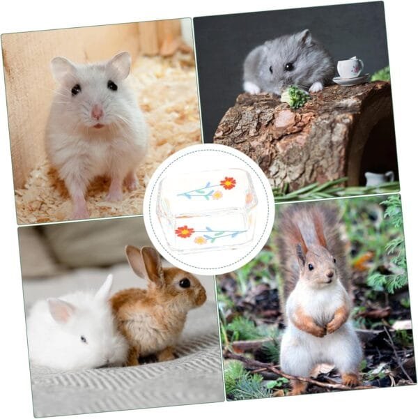 Yardwe 2 Piezas Tazón de Comida para hámster comedero para Conejos Plato Cuadrado para Hamster comedero Hamster Comedero para Hamster comedero Lavable tazón de Conejo de Vidrio - Image 3