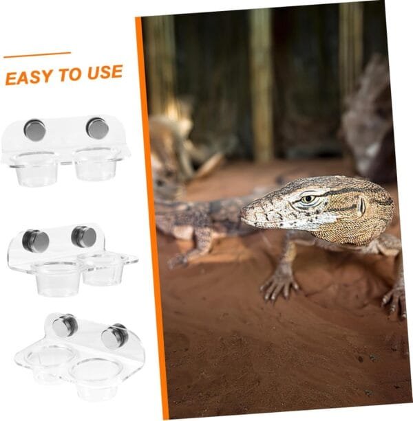 YARNOW 1 Juego Alimentador de Agua magnético Tazas de alimentación Gecko Tortuga Gusano Alimentador de Reptiles Bebedero para Reptiles tazones de Comida de Gecko tazón de Agua el plastico - Image 5