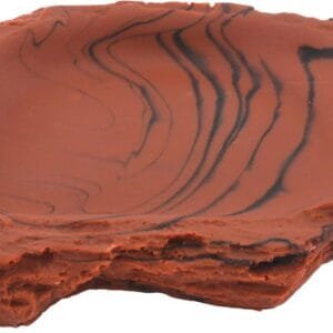 Lucky Reptile Turtle Dish WDL-10 - Cuenco de Agua o Comida para Tortugas