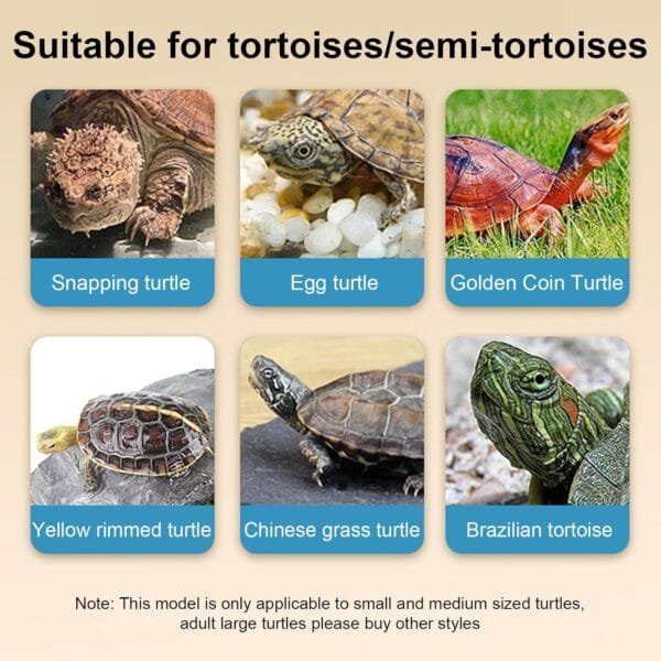 Limtula Hábitat de tortugas con plataforma terrario para alimentación de tortugas de mascotas, hábitat de cría, casa transparente - Image 3