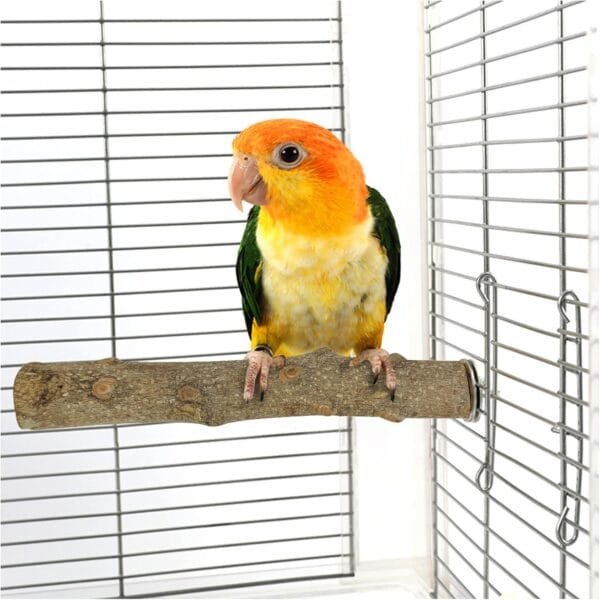 Andiker 2 Piezas Soporte de Pájaro, Juego de Loro de Madera Natural Perch, Barra de Molienda de Garras de Pájaro, Budgies, Parots, Conures, Lovebirds, Accesorios de Jaula de Juguete (10cm+20cm) - Image 4