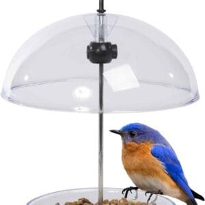 Comedero para pájaros Transparente con Forma de cúpula de Lluvia de 15 cm con Texto en inglés I Love Robins Rellena con Semillas de pájaros o Gusanos de Comida.