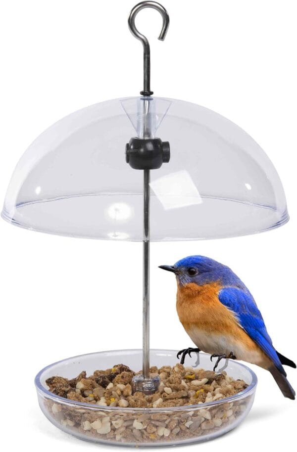 Comedero para pájaros Transparente con Forma de cúpula de Lluvia de 15 cm con Texto en inglés I Love Robins Rellena con Semillas de pájaros o Gusanos de Comida.