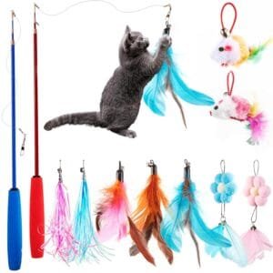 Easy Joy 11 Piezas Juguete de Plumas para Gatos Interactivo, 9 Cabezas de reemplazo de Juguetes + 2 cañas de Pescar retráctiles.