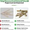 5PCS Perchas de Pájaros, Perca de Pájaro de Madera Natural, Soporte para Plataforma de Pájaros Pequeños, Juguetes para Periquitos, Accesorio para Jaulas de Pájaros para Cacatúas Agapornis - Image 4