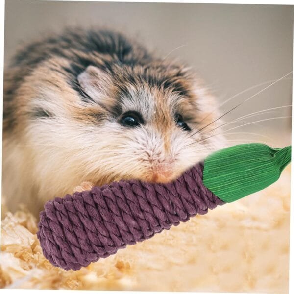 BESPORTBLE 24 Uds Masticable Berenjena Hámster Morder Palos Chinchilla Jaula Accesorios Conejo Masticar Juguetes Conejo Juguete Chinchilla Masticar Juguete Loro Juguetes Hámster Palo - Image 5