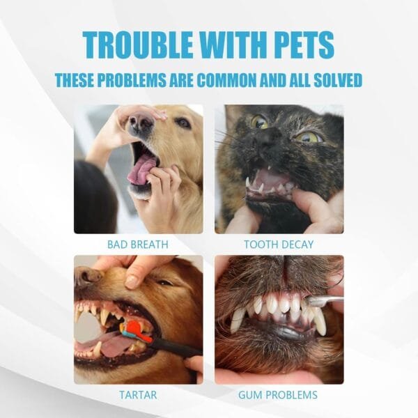 Pasta de Dientes para Perros y Gatos, Limpieza Dental para Perros, Cuidado Dental para Perros y Gatos, para La Limpieza E Higiene Bucal De Los Perros, Previene El Mal Aliento 60g - Image 6