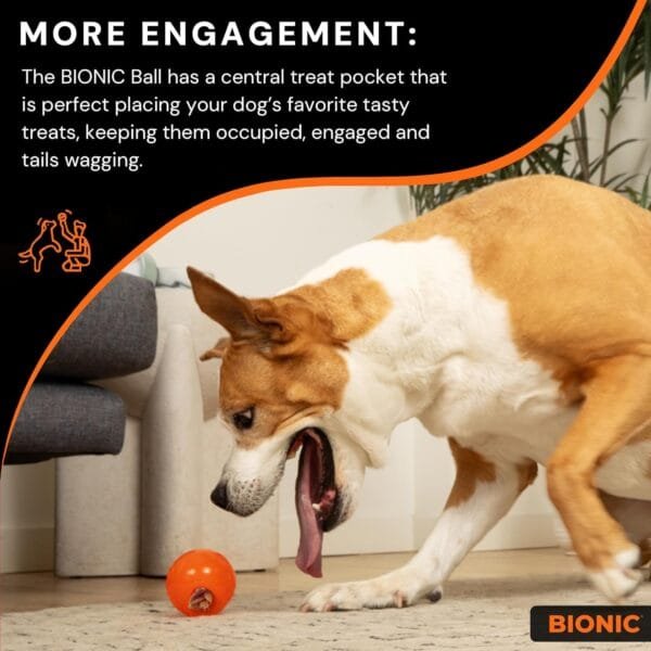 BIONIC Juguete Interactivo para Perros Pelota, M, 6,7 cm - Image 5