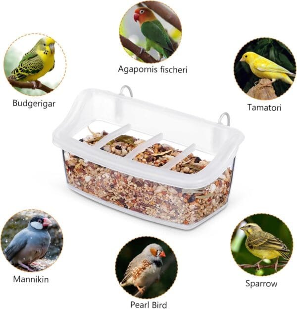 BESPORTBLE 2 Piezas Dispensador De Agua para Pájaros Comederos para Pájaros Delicados para Exteriores Dispensador De Comida Pinzón El Plastico Caja De Comida para Pájaros El Pájaro - Image 8