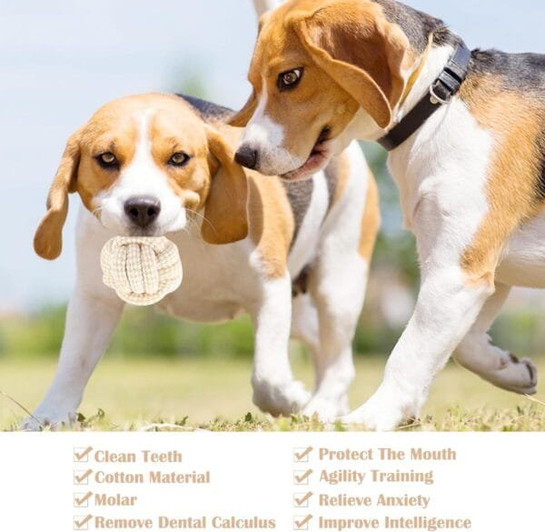 BRISKORE Cuerda de juguete para perros con nudos, juego de 4 juguetes para perros de cáñamo 100% natural, juguete para perros, juguete para perros pequeños (1) - Image 6