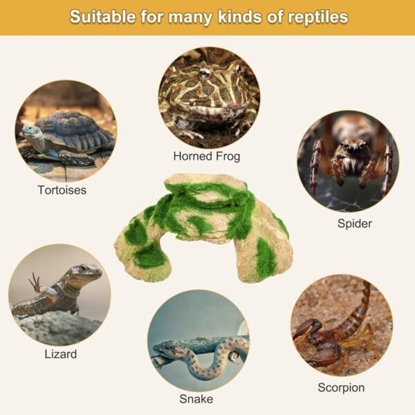 Micvtve Plataforma para Tomar el para Tortugas CéSped Plataforma para Tomar el para Descansar para Tortugas, Rampa Tortuga de Hierba de SimulacióN para Tanque de Tortugas, Reptil M - Image 4