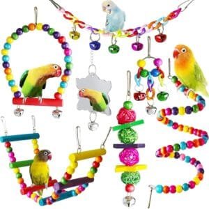 Jortmrd 7 Piezas Juguetes Agapornis Juguetes para Pájaros con Campanas Columpio Juguetes Hamaca de Madera Perchas Colorido Juguetes Loros Accesorios Juguetes para Periquitos Pinzones Cockatiels