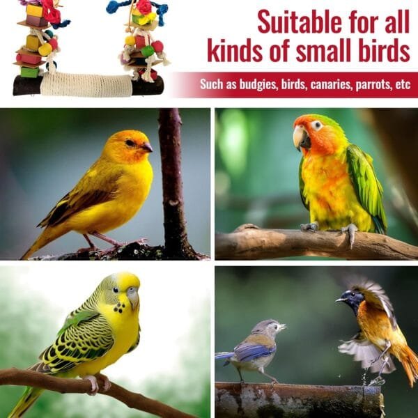 Juguetes para Pajaros, Juguetes para Columpios de Pájaros,Juguetes para Pájaros Colorful Columpio para Loros Accesorios Jaula Pajaros Bite Toy,Columpios para Pájaros Loros Hamacas para Pájaros - Image 6
