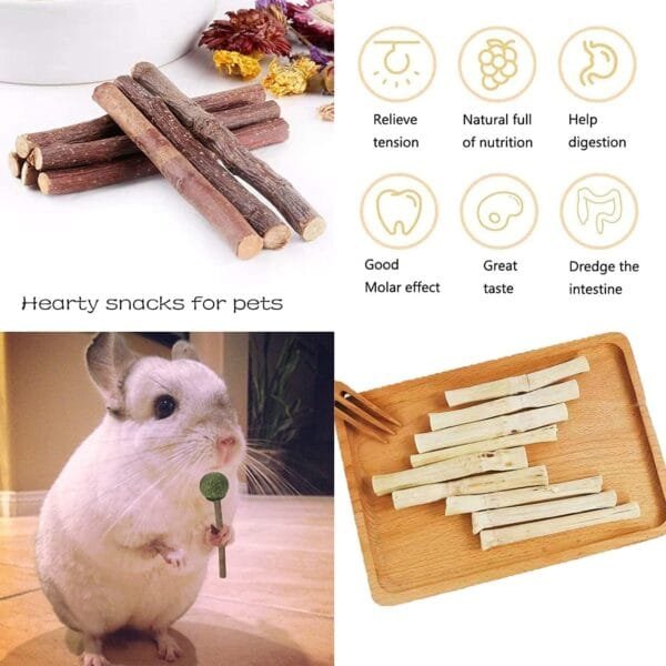 SKOOLOVE Juguete para conejo, 20 unidades, bolas naturales, accesorio para conejo, juguete para masticar para Guinea Pig Chinchilla - Image 4