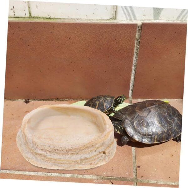 BESPORTBLE Comedero para Reptiles Plato De Comida De Tortuga Plato De Alimentación De Mascotas sobre Orugas Cuenco De Agua para Reptiles Plato De Gusano Reptil Plato De Agua De Tortuga Resina - Image 8