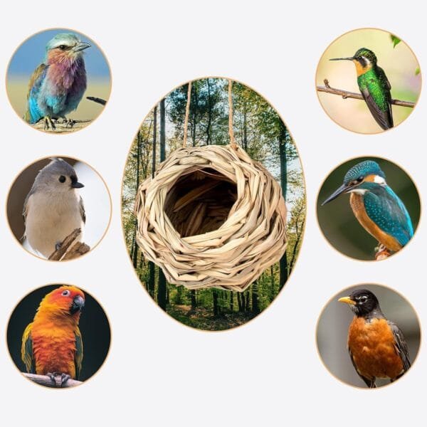 4 Piezas Nidos de Pájaros, Nidos para Pájaros Pequeños de Hierba Natural, Casa de Pajaros Exterior, Tejidas a Mano Hierba Nidos para Pajaros, para Pájaros Pequeños como Colibrí, Teta - Image 6