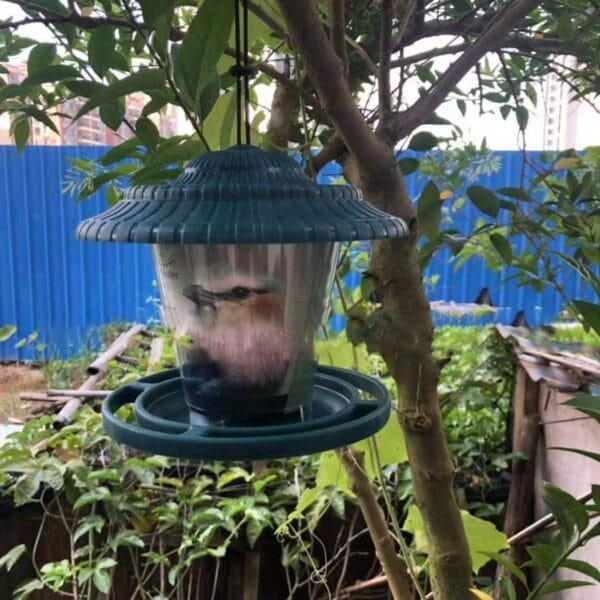 SOONHUA Comedero para Pájaros de Plástico para Colgar Contenedor de Comida para Pájaros con Techo para Patio de Jardín Al Aire Libre - Image 5