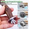 5PCS Perchas de Pájaros, Perca de Pájaro de Madera Natural, Soporte para Plataforma de Pájaros Pequeños, Juguetes para Periquitos, Accesorio para Jaulas de Pájaros para Cacatúas Agapornis - Image 5