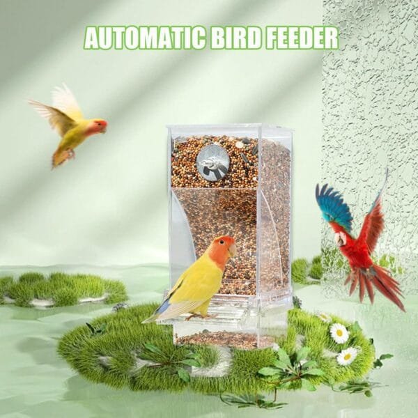 Comedero automático para pájaros, 1 recipiente transparente para colgar semillas con percha, comedero para pájaros, accesorios para jaula de pájaros para periquitos pequeños y medianos, pinzones de - Image 4