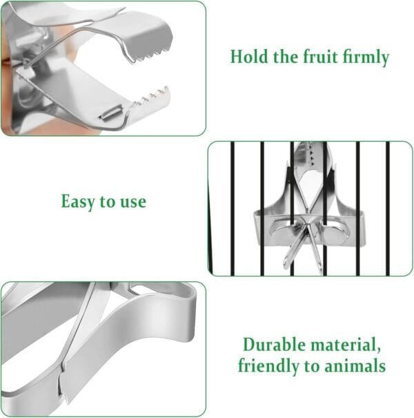 5pcs Comedero para Pajaros Clip de Alimentación para Loros Aves Comida Titular Abrazadera Accesorios Jaula de Pájaros Clip de Comida para Loros Canarios Periquitos - Image 3