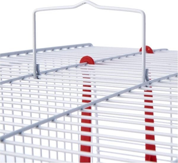 Ferplast Jaula rectangular para pequeños pájaros exóticos y canarios REKORD 2 Con accesorios y comederos giratorios, alambre pintado Blanco y cubeta de plástico Azul celeste, 39 x 25 x h 41 cm - Image 5