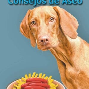 Alimentos Caseros para Perros y Consejos de Aseo