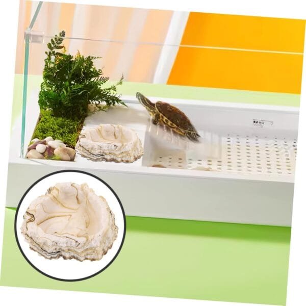 Yardwe 3 Piezas Cuenco para Mascotas Pet Feeder Plato alimentación Gecko Cuenco Agua del terrario Remojar en Agua Bandeja alimentación Plato Comida Plato Animales envase - Image 5