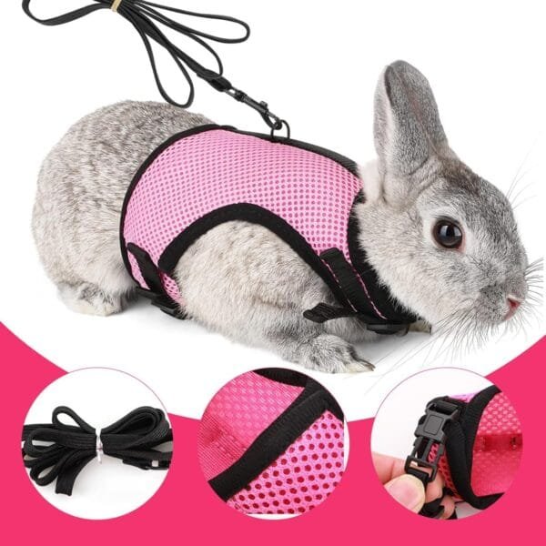 LuLiyLdJ Arnés de Conejo Enano Rosa, Correas de Conejo, Accesorios de Conejo, cómodo arnés de Conejo con Correa elástica para hámsters Rata Erizo ratón pequeños Animales (M) - Image 3