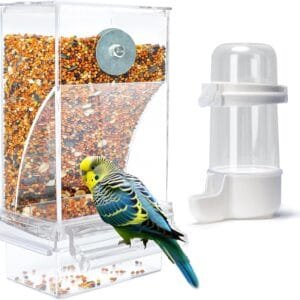 Comedero automático para pájaros, loros, acrílico, transparente, comedero para pájaros, periquitos, jaula, comedero automático, accesorio para jaulas, accesorios para periquitos, canarios, cacatúas,