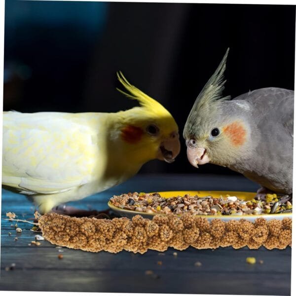 Yardwe 1 Juego Comida De Mijo Loro Comida Natural para Periquitos Comida para Loros Golosina para Masticar Loros Comida para Periquitos y Pájaros Golosinas para Pájaros Espigas De Grano - Image 9