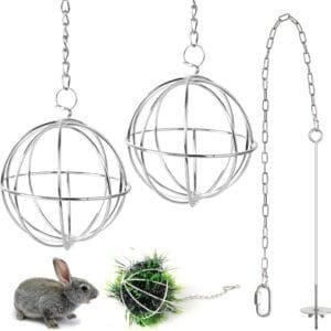 Chudian 3Pcs Juego de Bola comedero Conejo Heno de Acero Inoxidable con Gancho para Colgar con 1 Tenedor de Frutas y Verduras para Conejos Cobayas Hámsteres Animales Pequeños(8cm)