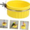 Yardwe Tazón De Comida para Loros Comedero para Periquitos Comederos para Jaulas De Pájaros Platos para Pájaros para Jaula Tazón De Alimentación para Pájaros Tazones De Comida para - Image 9