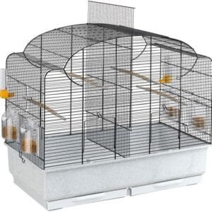 Ferplast Jaula para Canarios y Pájaros Exóticos CANTO, Jaula de cría con Separador y Accesorios