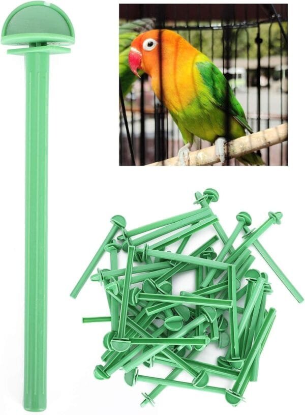 Kuuleyn 50 Perchas para jaulas de pájaros pequeñas, Soporte de plástico, Jaula para pájaros, Perchas para pájaros, pinzón Canario, Periquito, Jaula, Accesorio para Jaula de Barra - Image 3